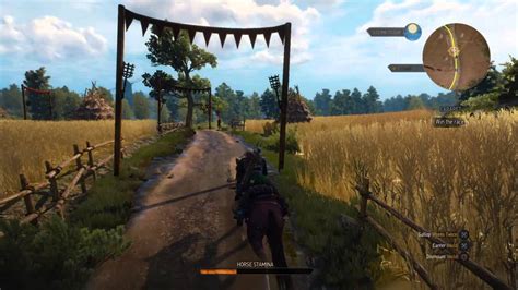 witcher 3 horse race